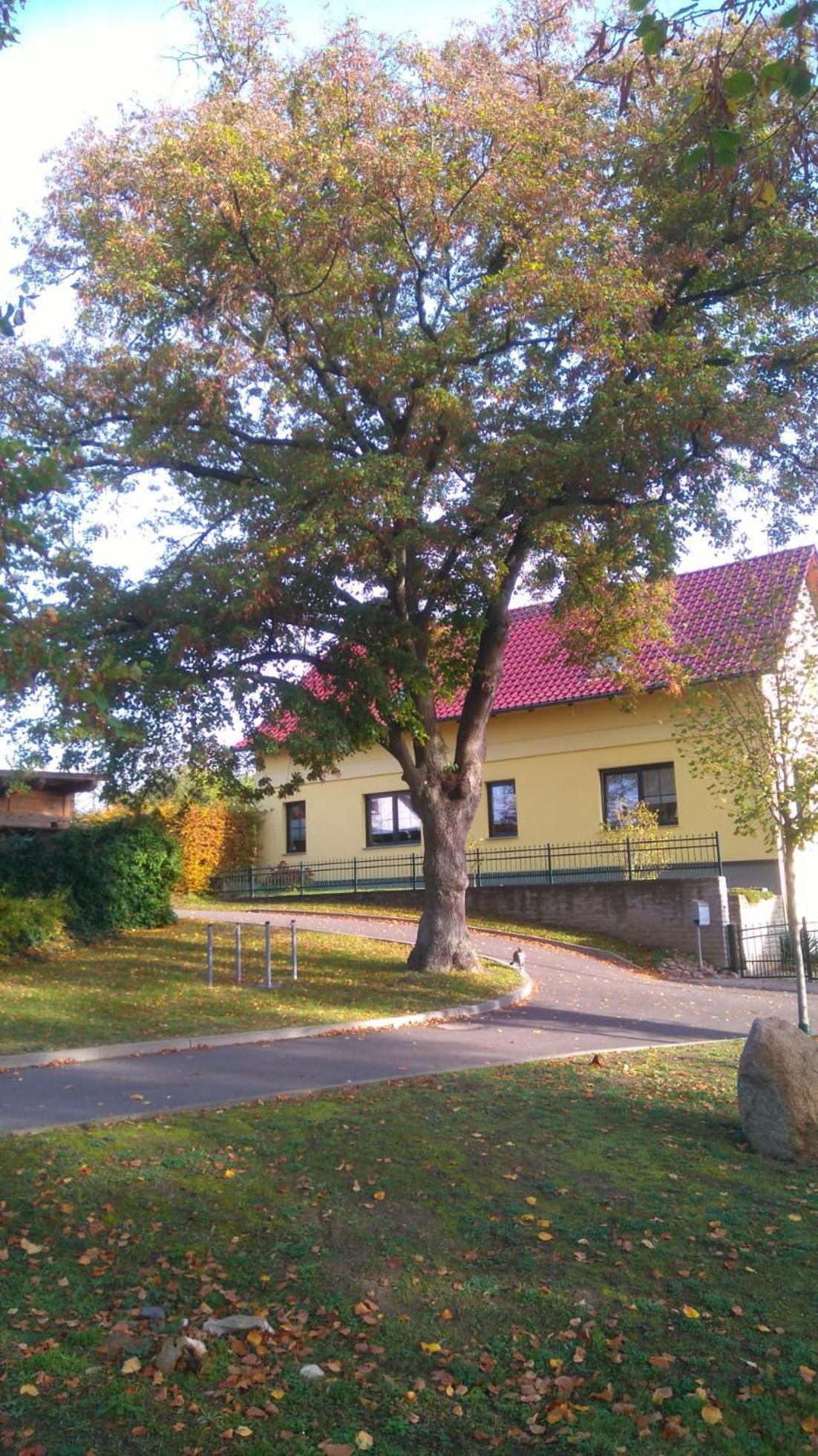 Ferienwohnung Perlitz Petersdorf  Екстер'єр фото